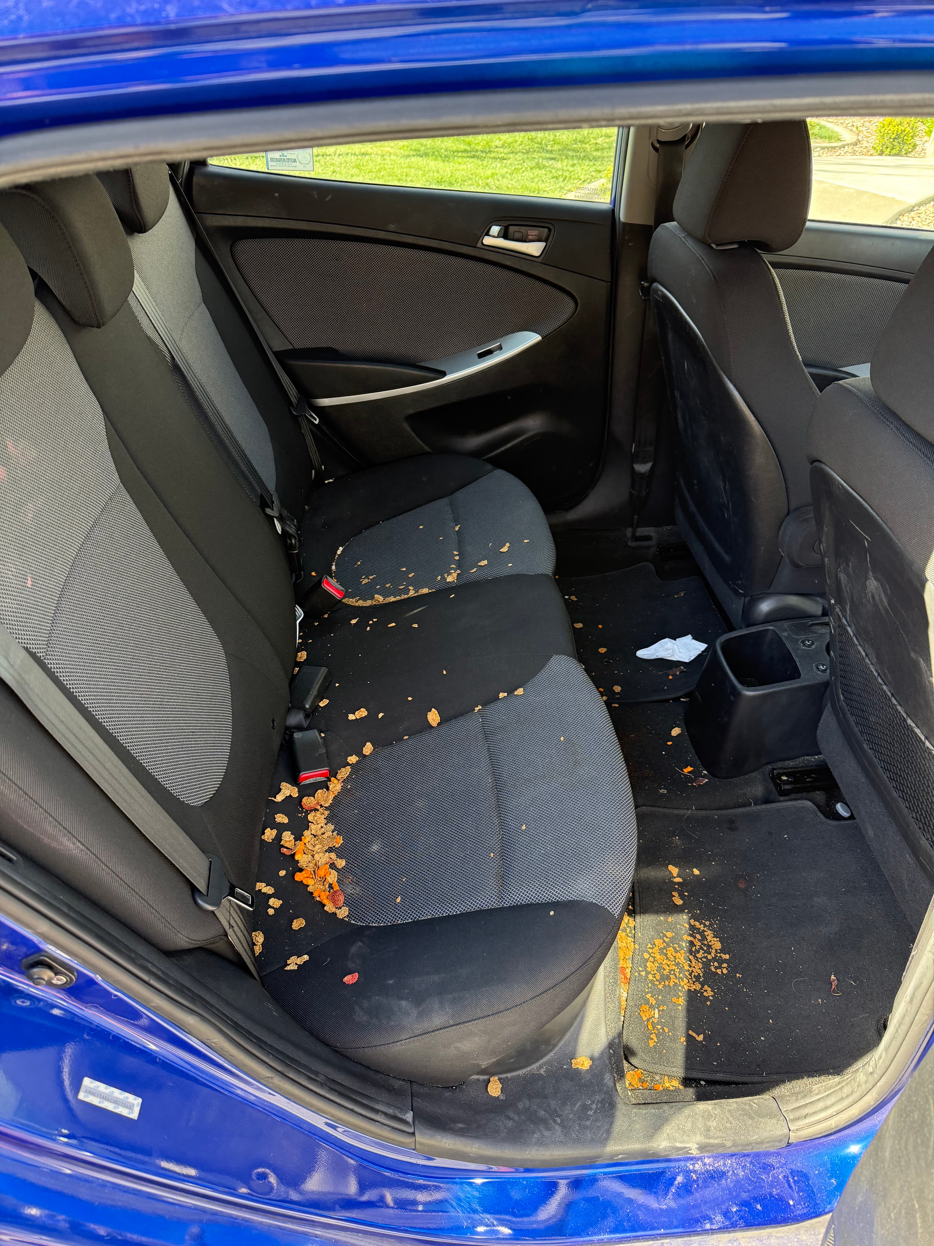 Back area before detailing